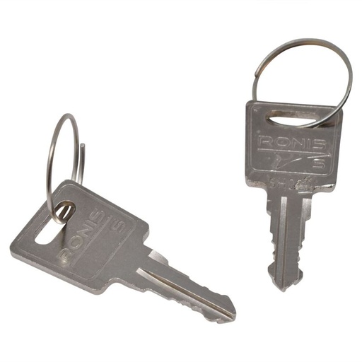 [KEYS] Keys for refrigerator (pair)